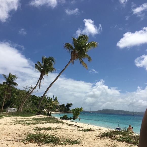 Meet your Posher, Catherine - Picture 1 of 1